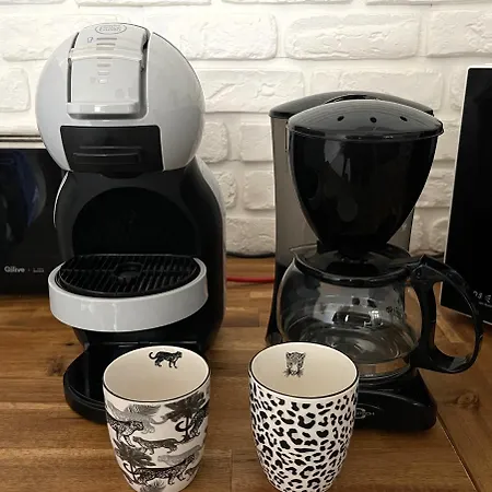 La Belle Epoque Apartament Vichy